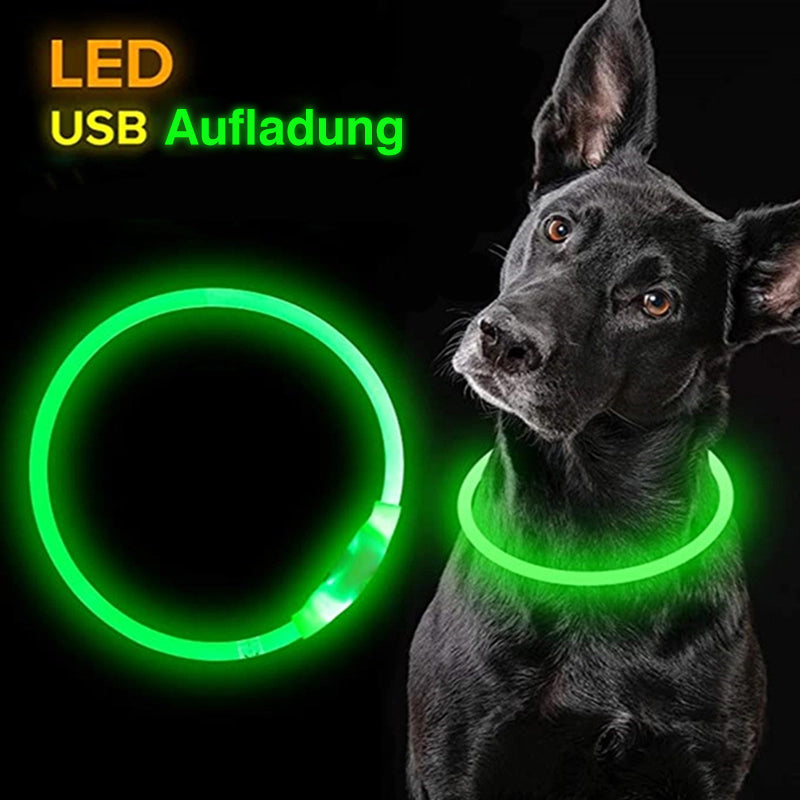 Lichtemittierendes Haustierhalsband mit USB-Aufladung