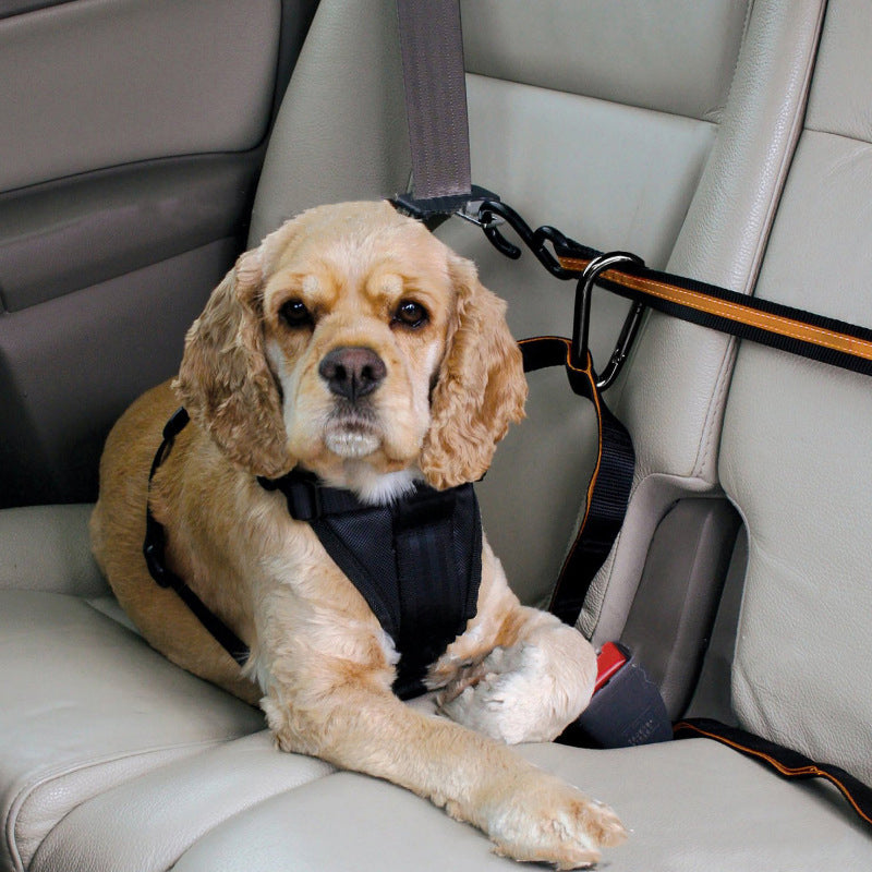 Autosicherheitsgurt für Haustiere